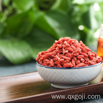 Fresh Organic goji berries dried wolfberries for sale